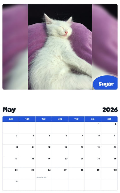 2026 - 2027 Sugar - Pawidols Pet Calendar