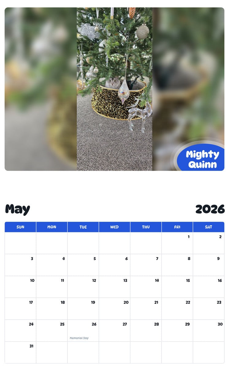 2026 - 2027 Mighty Quinn - Pawidols Pet Calendar