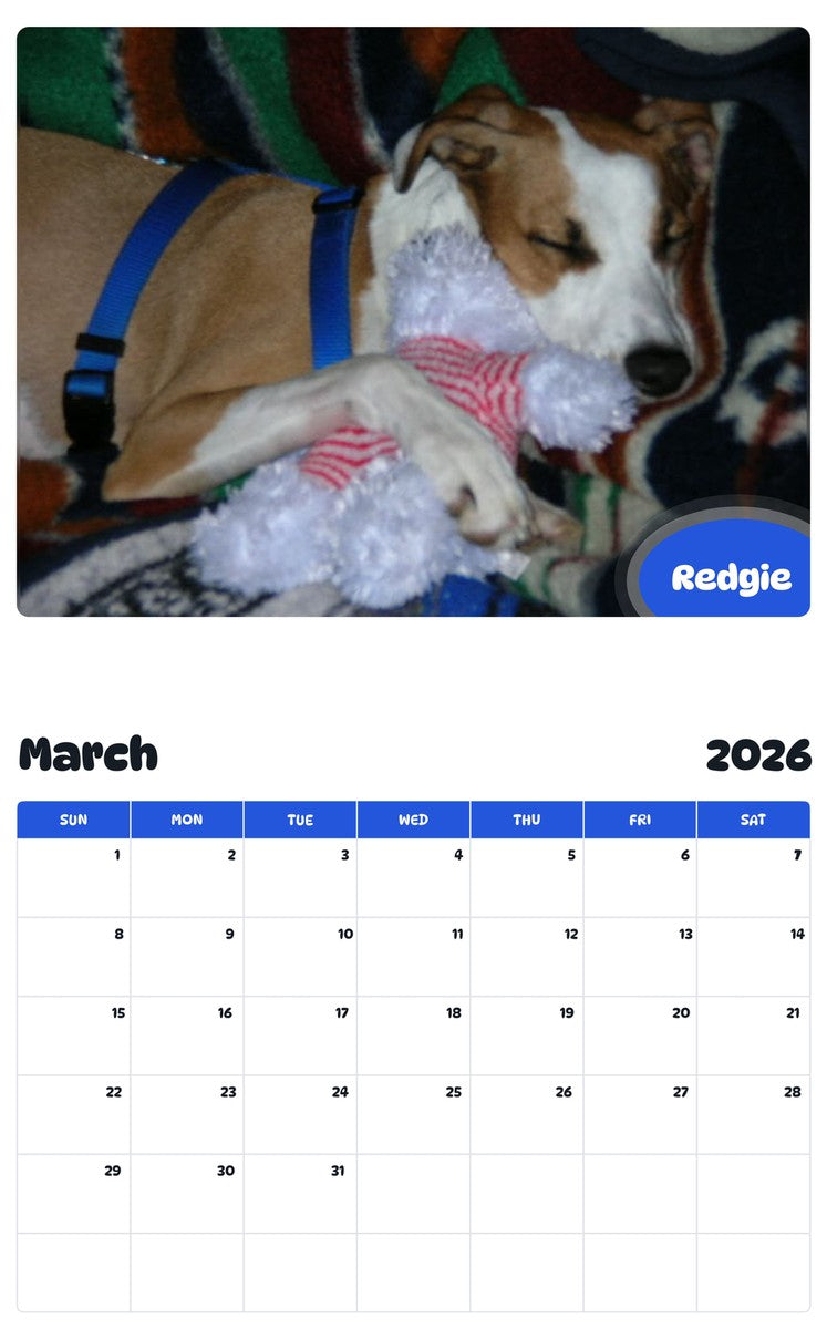 November 2025 - October 2026 Redgie - Pawidols Pet Calendar