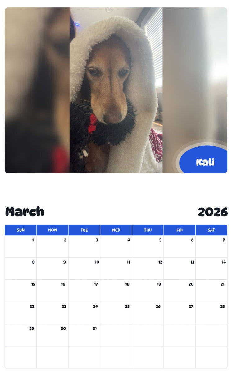 November 2025 - October 2026 Kali - Pawidols Pet Calendar