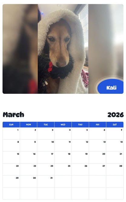 November 2025 - October 2026 Kali - Pawidols Pet Calendar