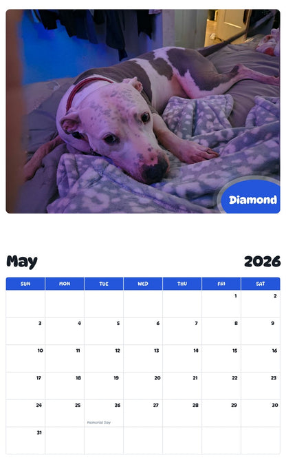 2026 - 2027 Diamond - Pawidols Pet Calendar