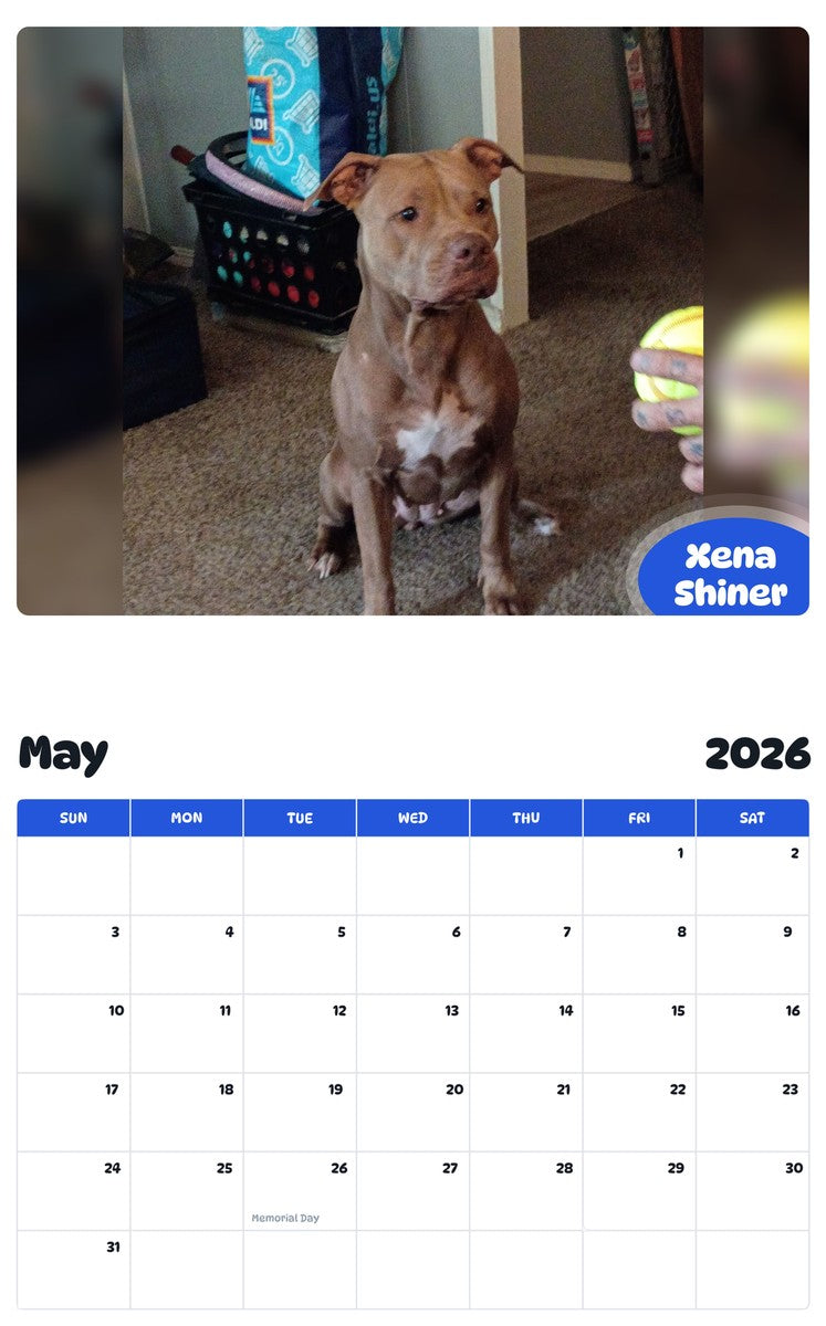 2026 - 2027 Xena Shiner - Pawidols Pet Calendar