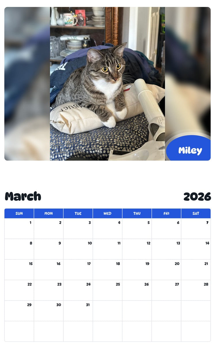 November 2025 - October 2026 Miley - Pawidols Pet Calendar