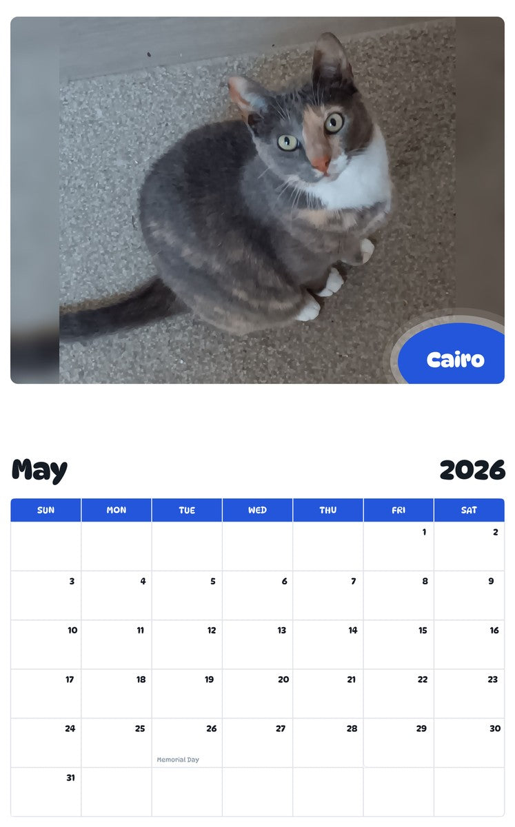 2026 - 2027 Cairo - Pawidols Pet Calendar