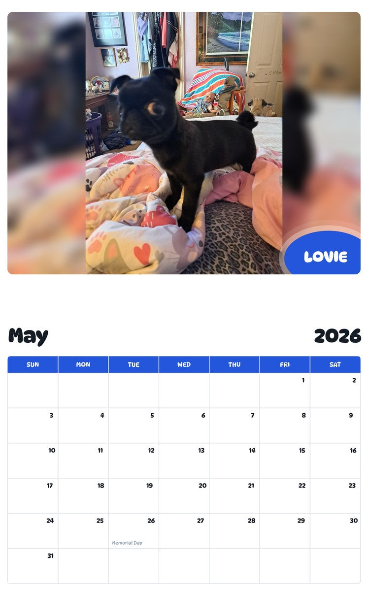 2026 - 2027 LOVIE - Pawidols Pet Calendar