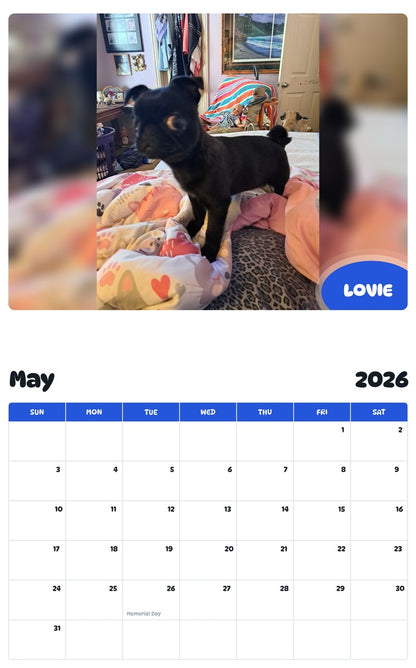 2026 - 2027 LOVIE - Pawidols Pet Calendar