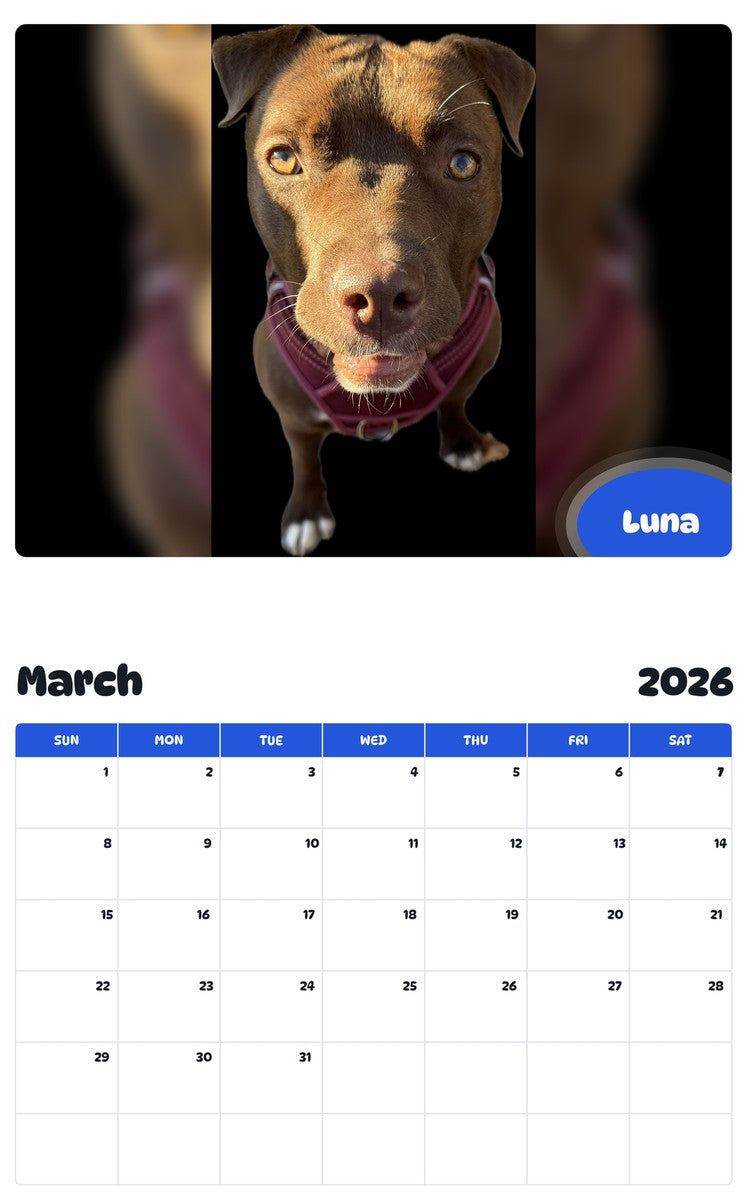 November 2025 - October 2026 Luna - Pawidols Pet Calendar