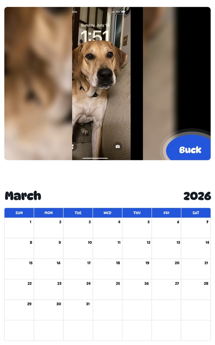 November 2025 - October 2026 Buck - Pawidols Pet Calendar