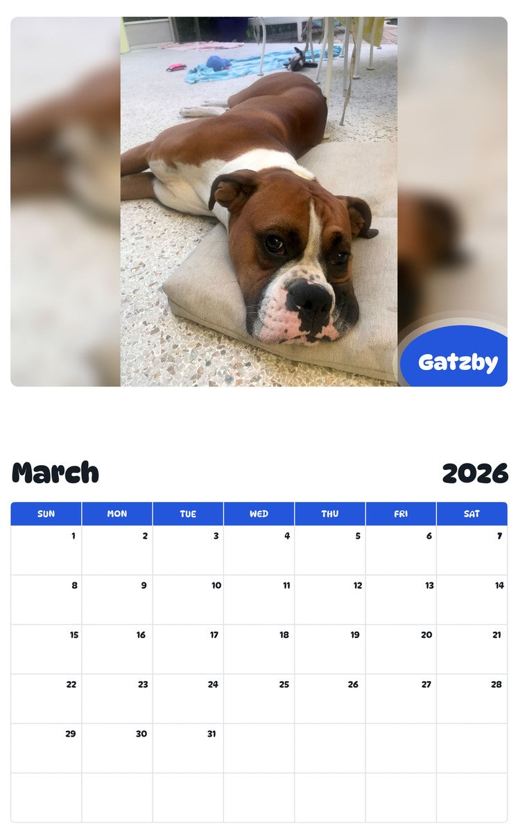 November 2025 - October 2026 Gatzby - Pawidols Pet Calendar