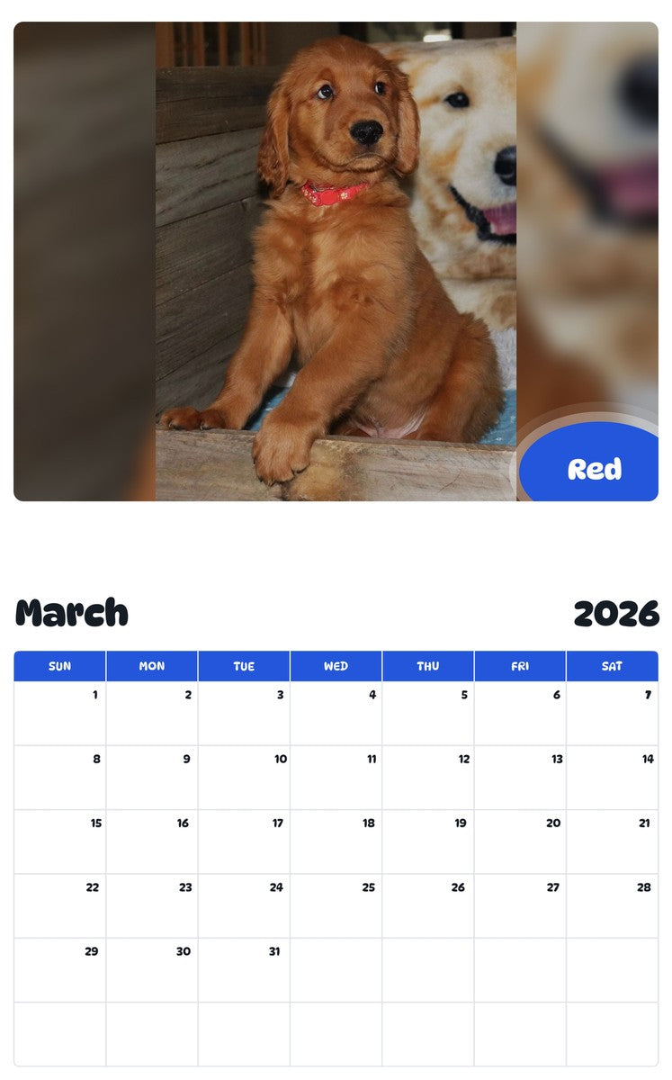 November 2025 - October 2026 Red - Pawidols Pet Calendar