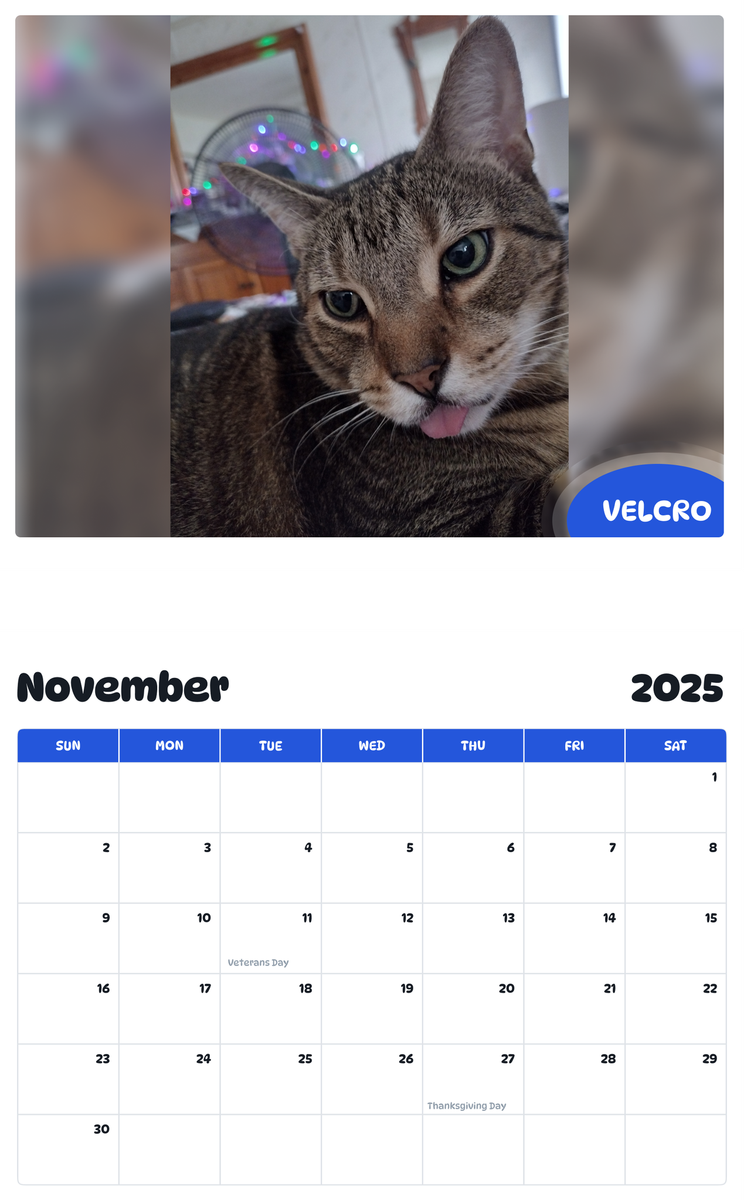 July 2025 - June 2026 Velcro - Pawidols Pet Calendar