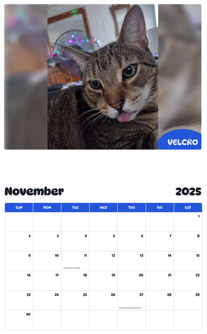 July 2025 - June 2026 Velcro - Pawidols Pet Calendar