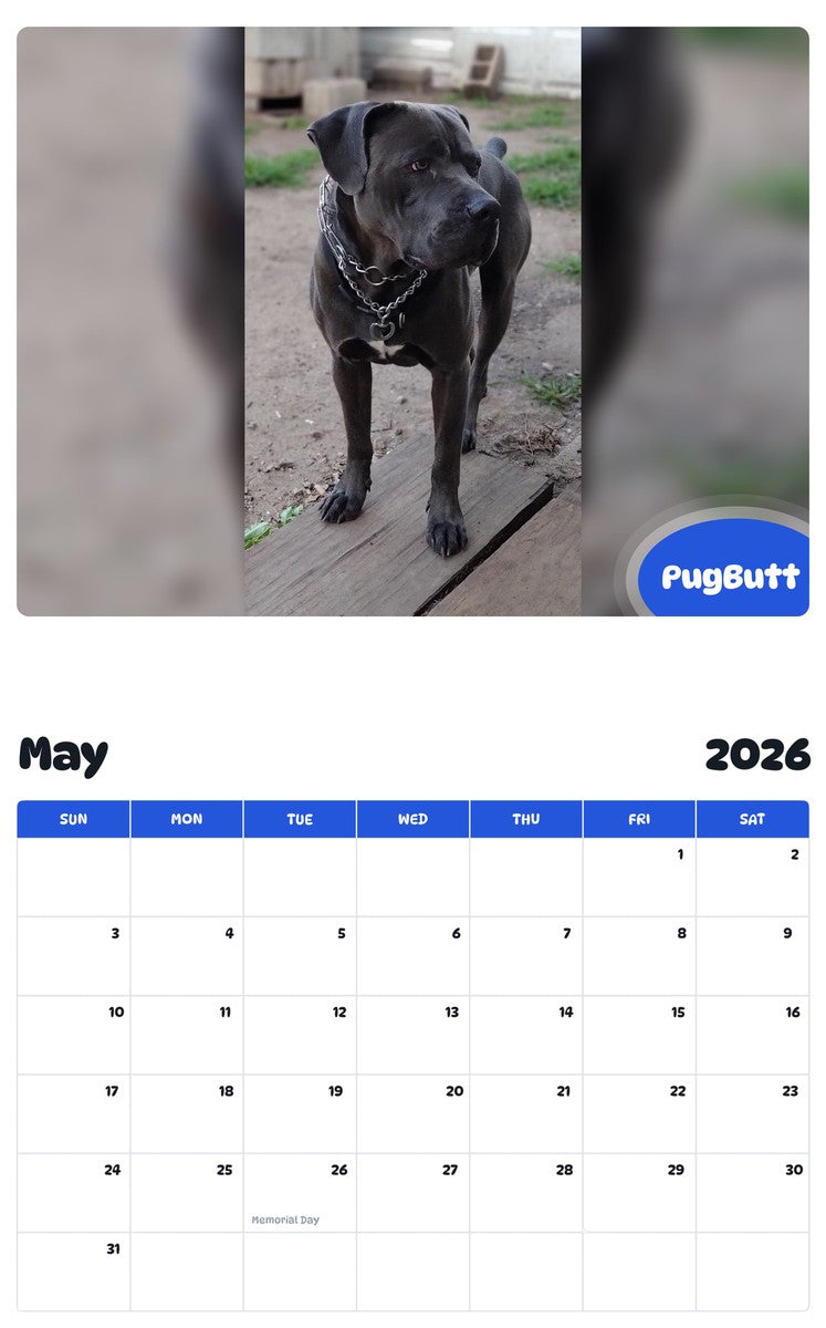 2026 - 2027 PugButt - Pawidols Pet Calendar