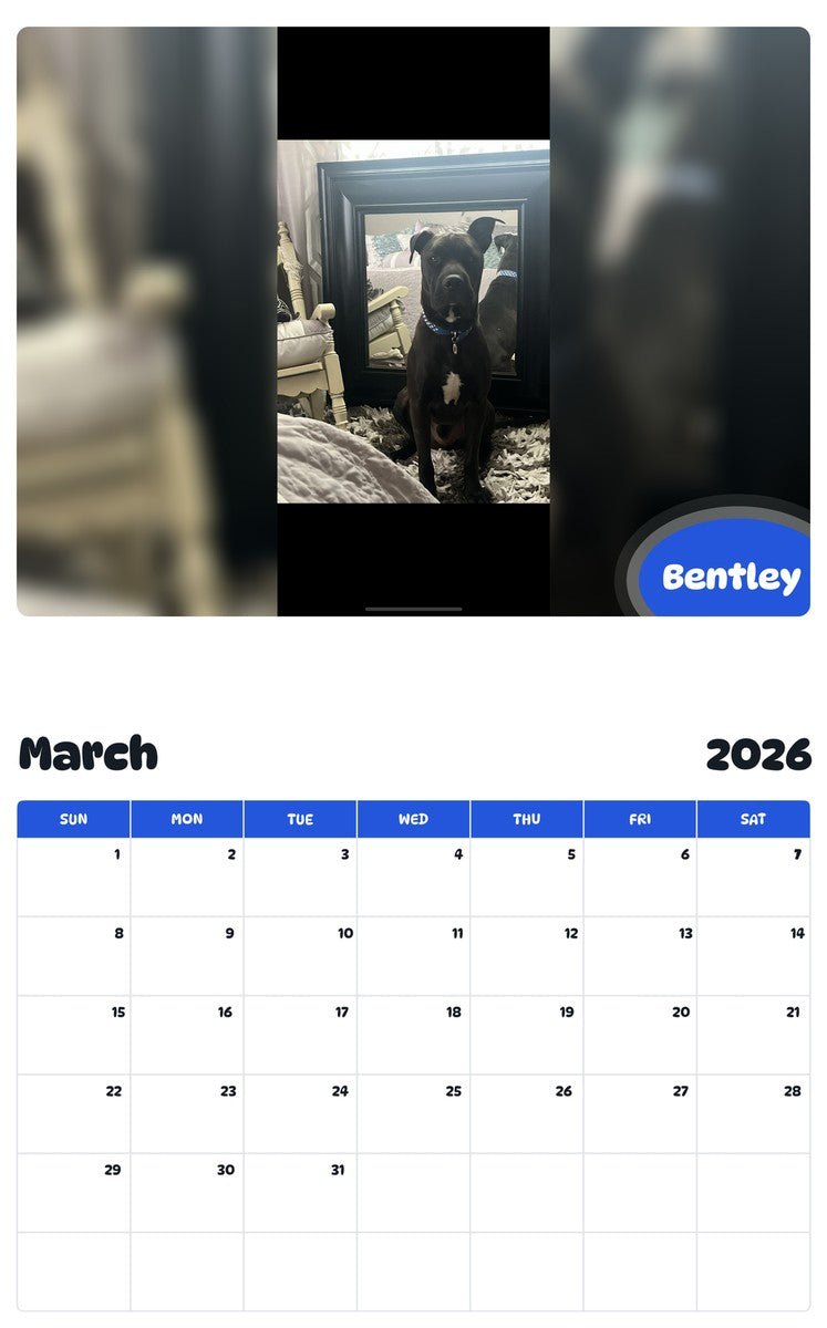 November 2025 - October 2026 Bentley - Pawidols Pet Calendar