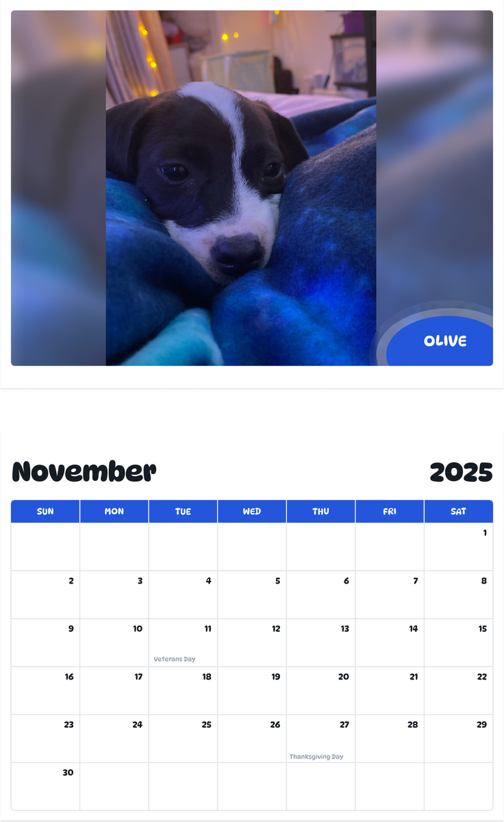 July 2025 - June 2026 Olive - Pawidols Pet Calendar