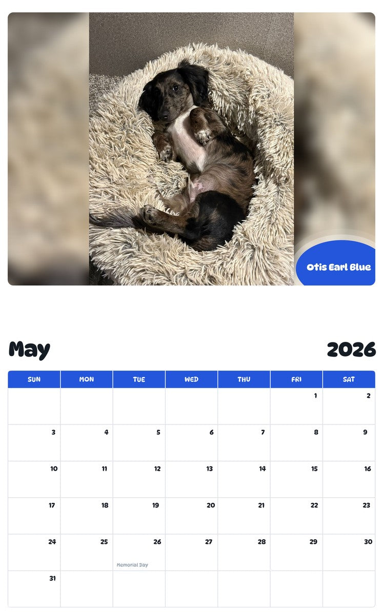 2026 - 2027 Otis Earl Blue - Pawidols Pet Calendar