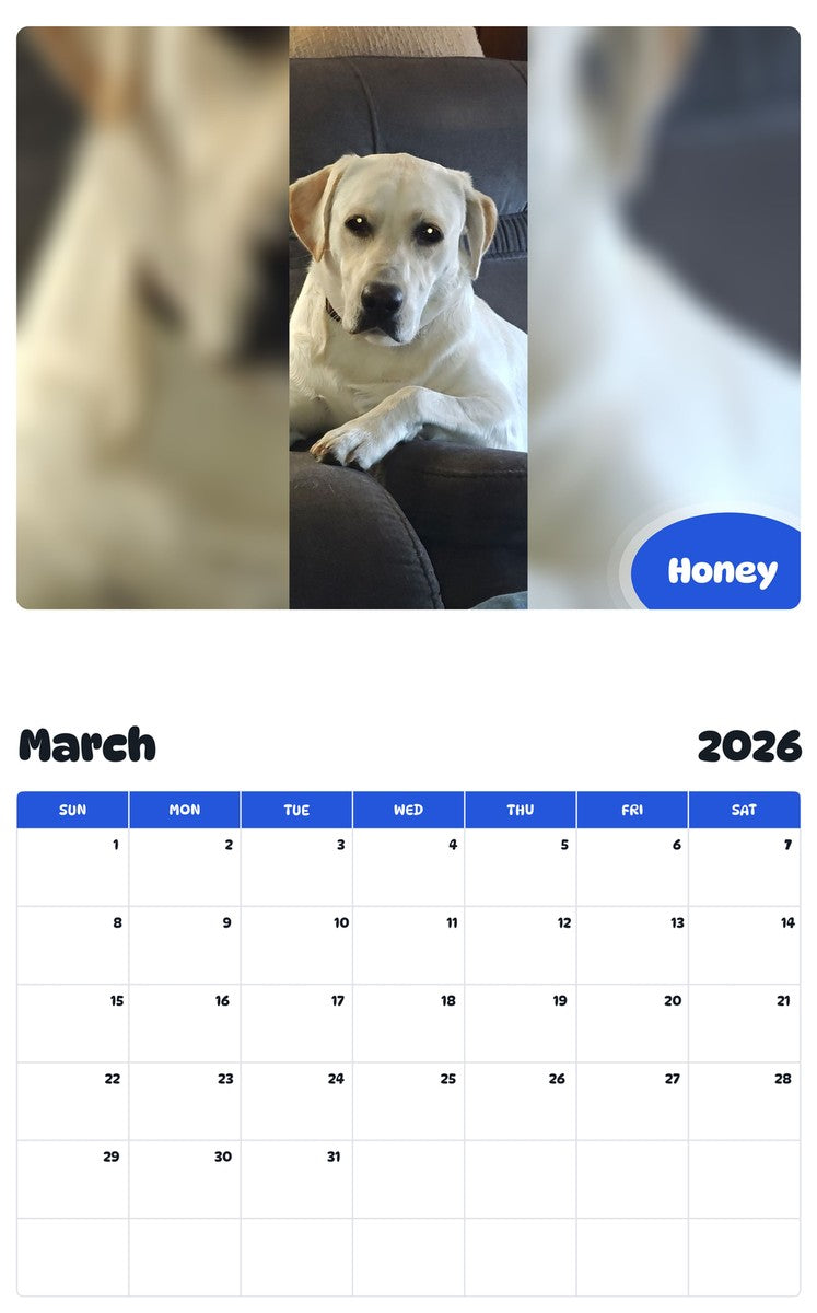 November 2025 - October 2026 Honey - Pawidols Pet Calendar
