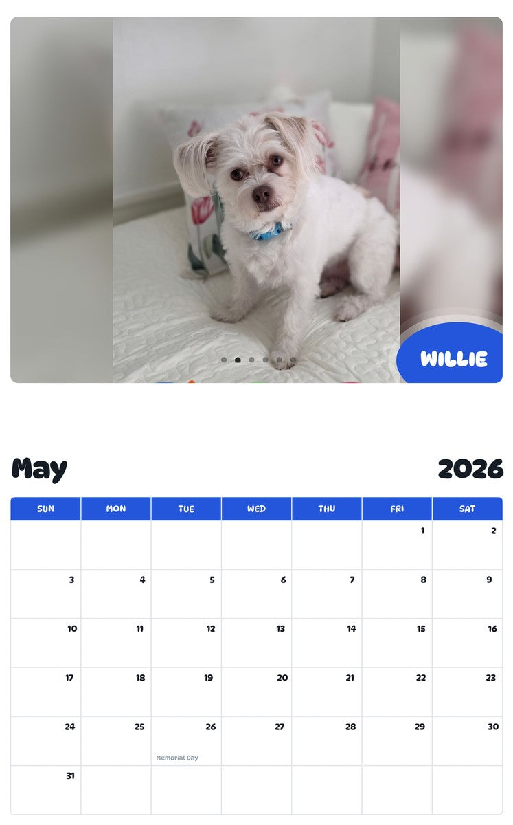 2026 - 2027 WILLIE - Pawidols Pet Calendar