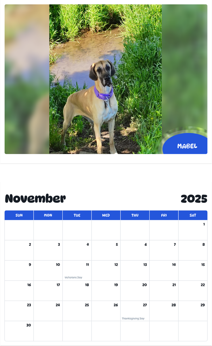 July 2025 - June 2026 Mabel - Pawidols Pet Calendar
