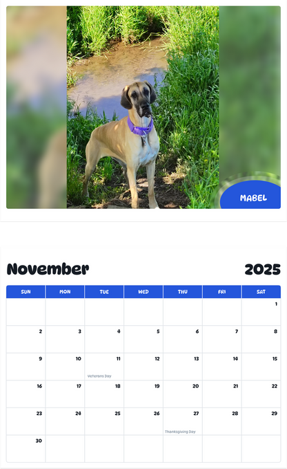 July 2025 - June 2026 Mabel - Pawidols Pet Calendar