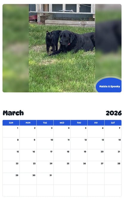 November 2025 - October 2026 Maizie & Spooky - Pawidols Pet Calendar