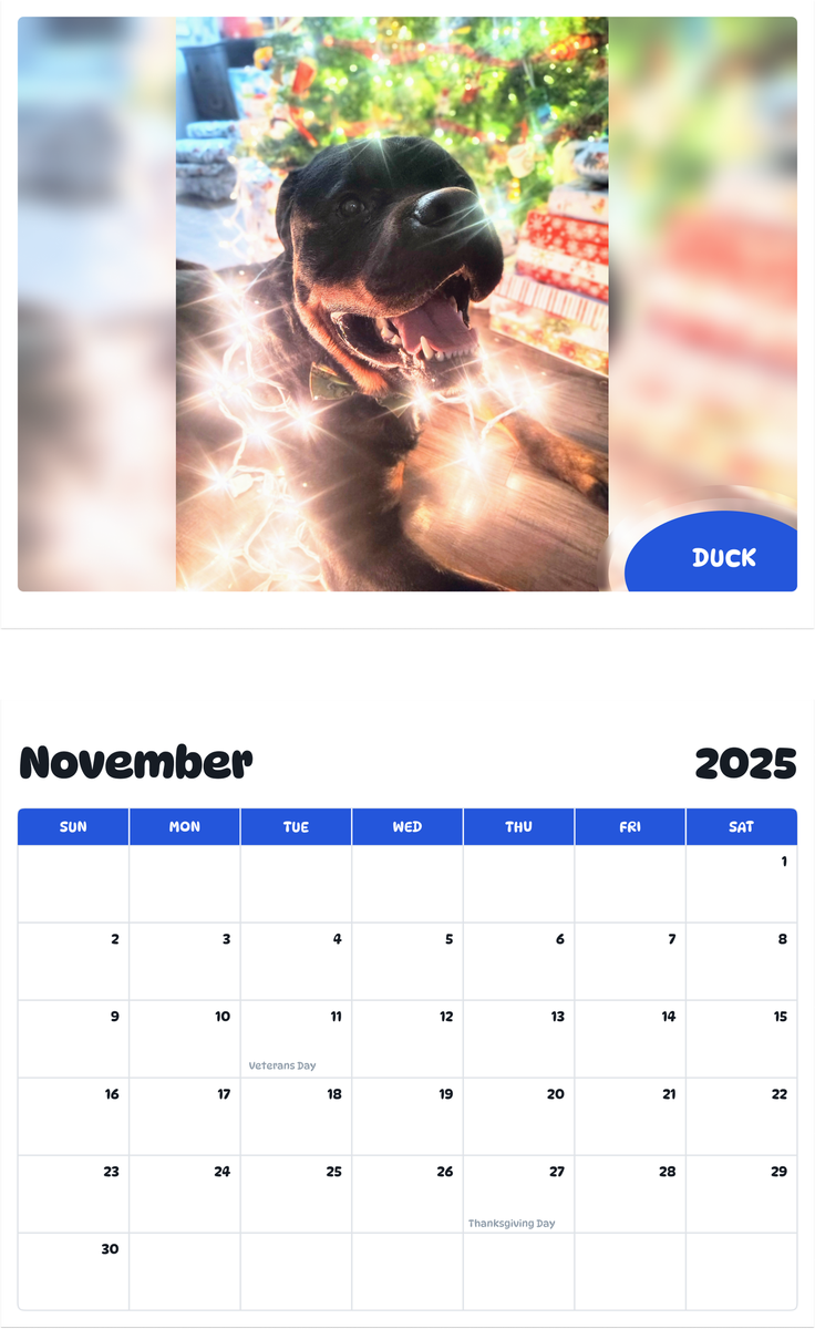 July 2025 - June 2026 Duck - Pawidols Pet Calendar