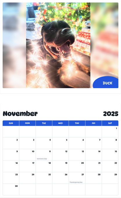 July 2025 - June 2026 Duck - Pawidols Pet Calendar