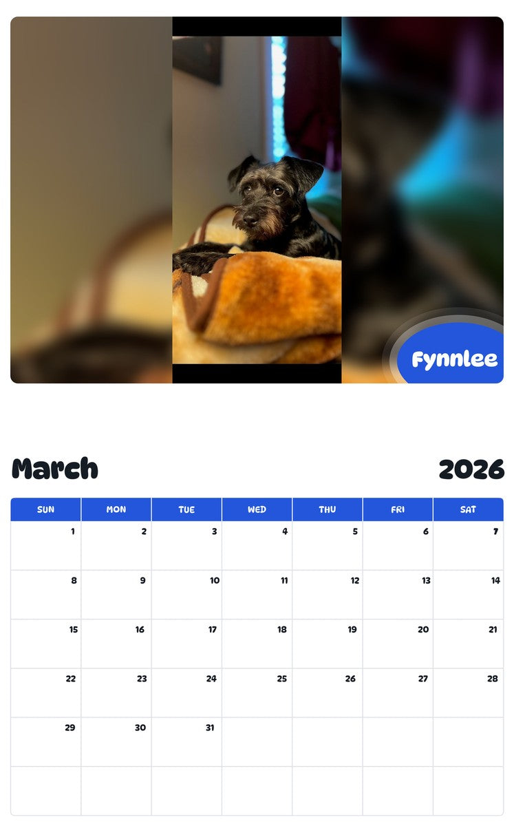 November 2025 - October 2026 Fynnlee - Pawidols Pet Calendar