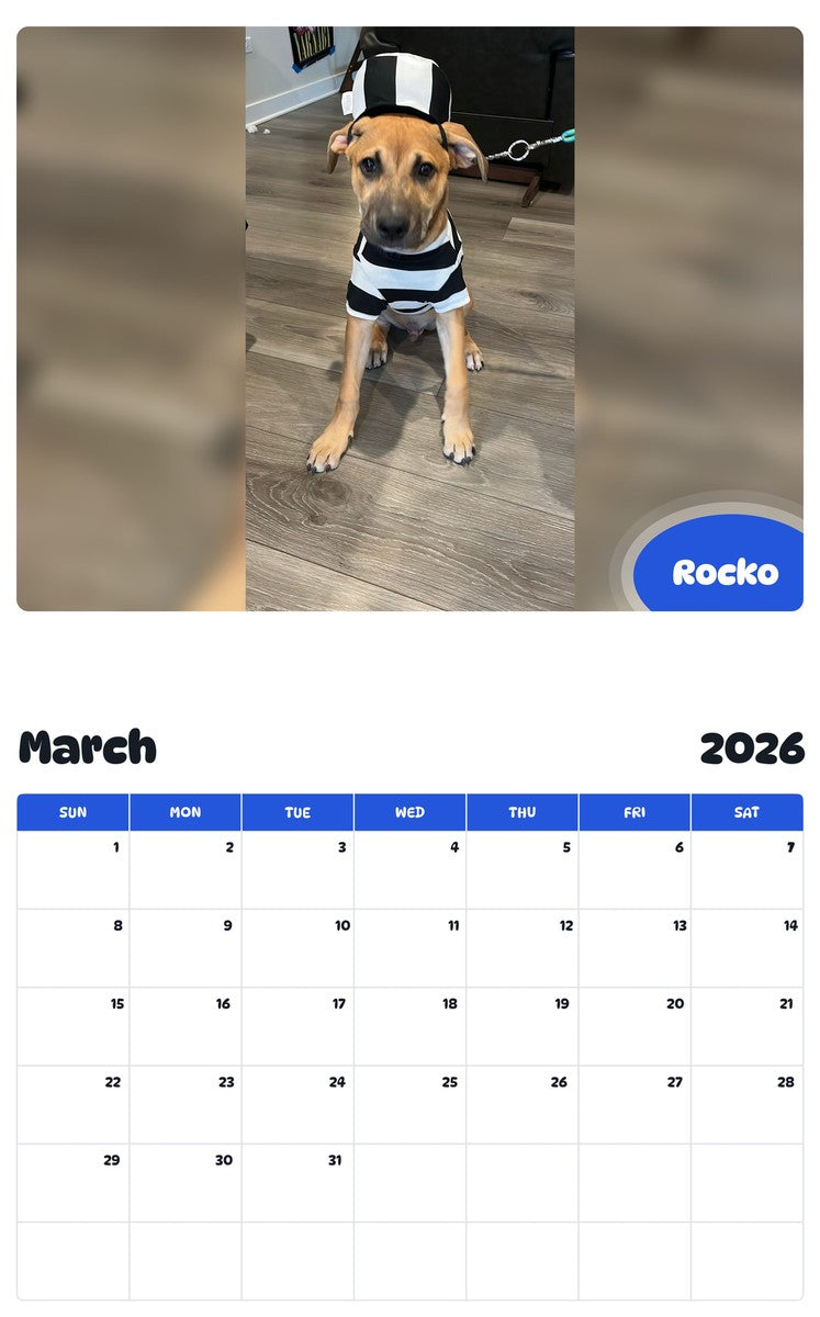 November 2025 - October 2026 Rocko - Pawidols Pet Calendar
