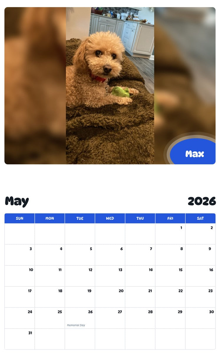 2026 - 2027 Max - Pawidols Pet Calendar