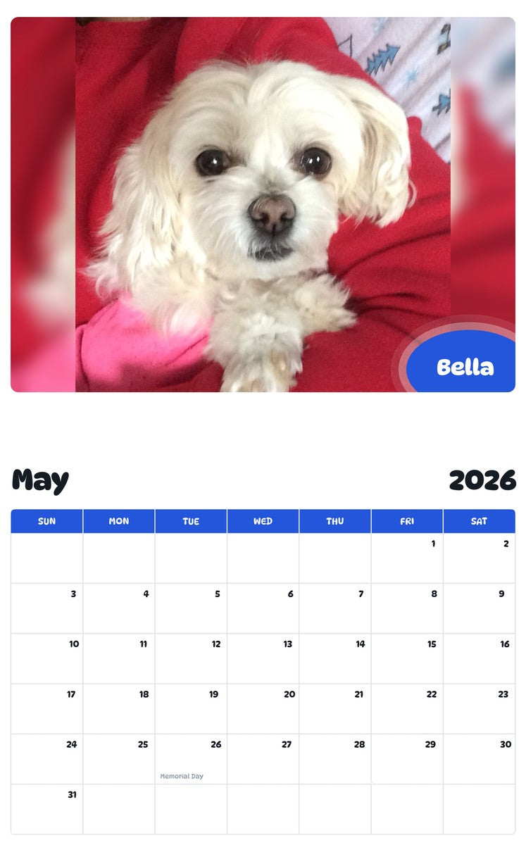 2026 - 2027 Bella - Pawidols Pet Calendar