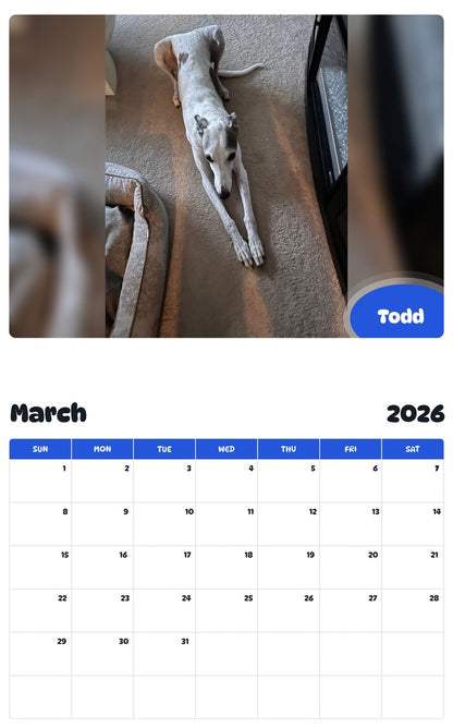 November 2025 - October 2026 Todd - Pawidols Pet Calendar