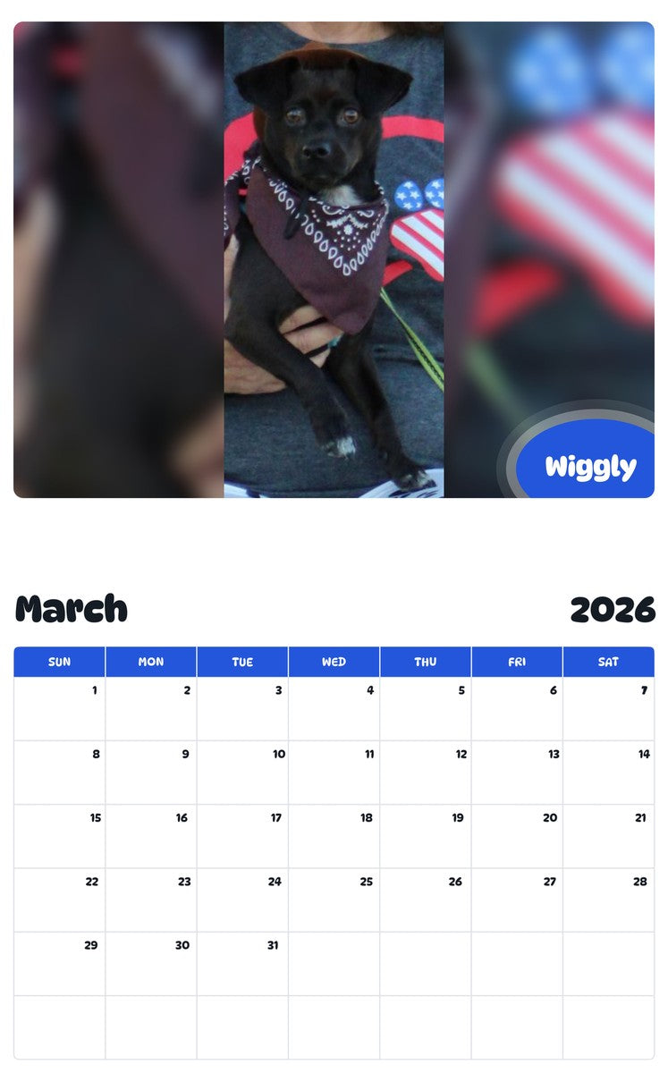 November 2025 - October 2026 Wiggly - Pawidols Pet Calendar