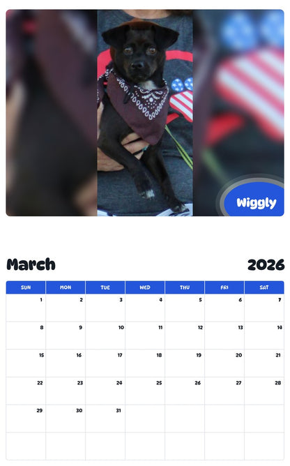 November 2025 - October 2026 Wiggly - Pawidols Pet Calendar