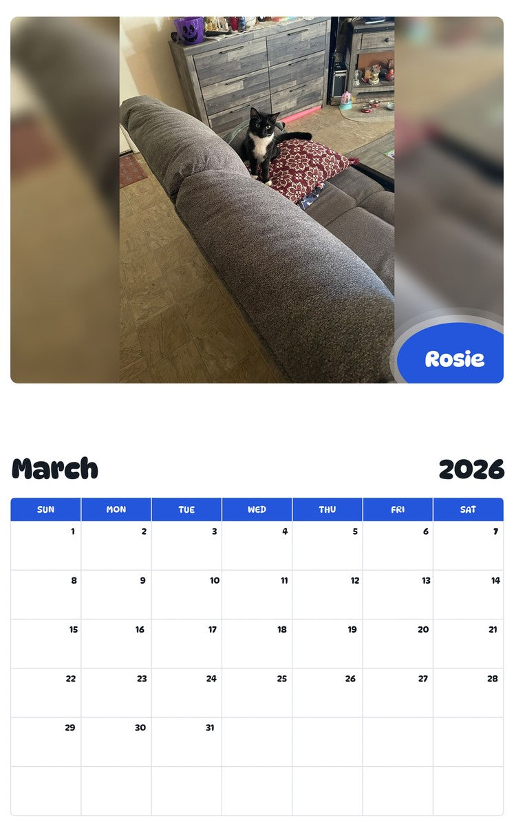 November 2025 - October 2026 Rosie - Pawidols Pet Calendar