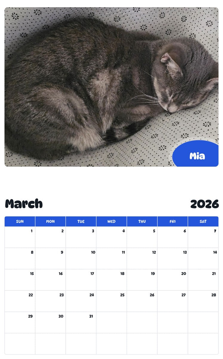 November 2025 - October 2026 Mia - Pawidols Pet Calendar