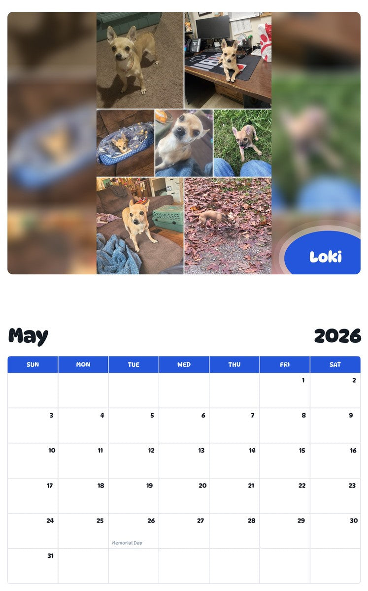 2026 - 2027 Loki - Pawidols Pet Calendar
