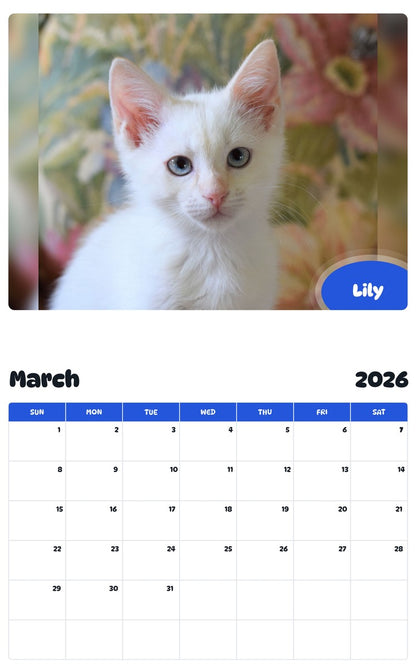 November 2025 - October 2026 Lily - Pawidols Pet Calendar