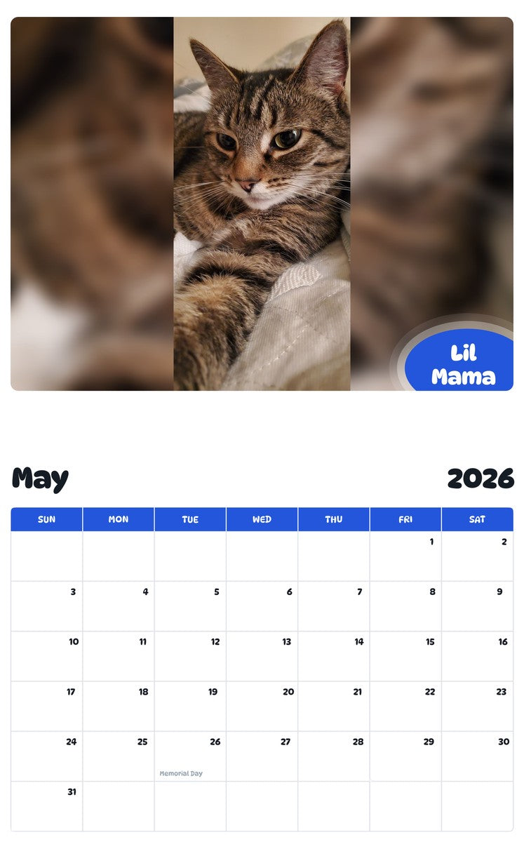 2026 - 2027 Lil Mama - Pawidols Pet Calendar