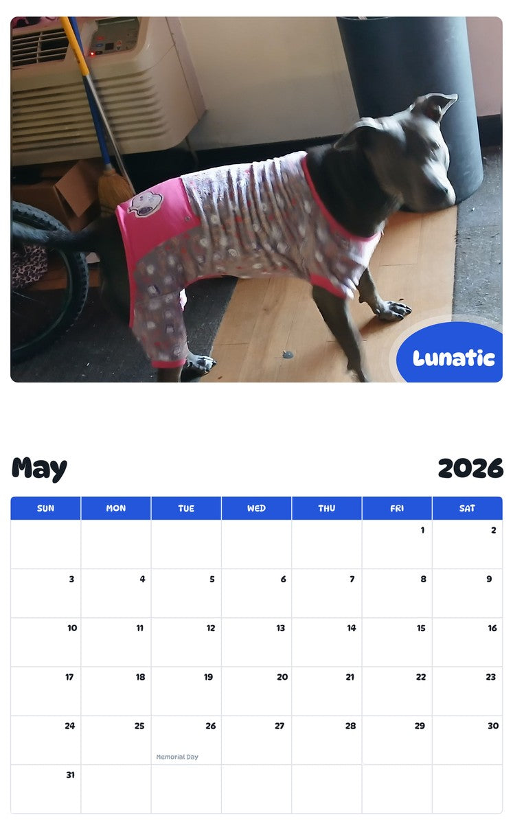 2026 - 2027 Lunatic - Pawidols Pet Calendar