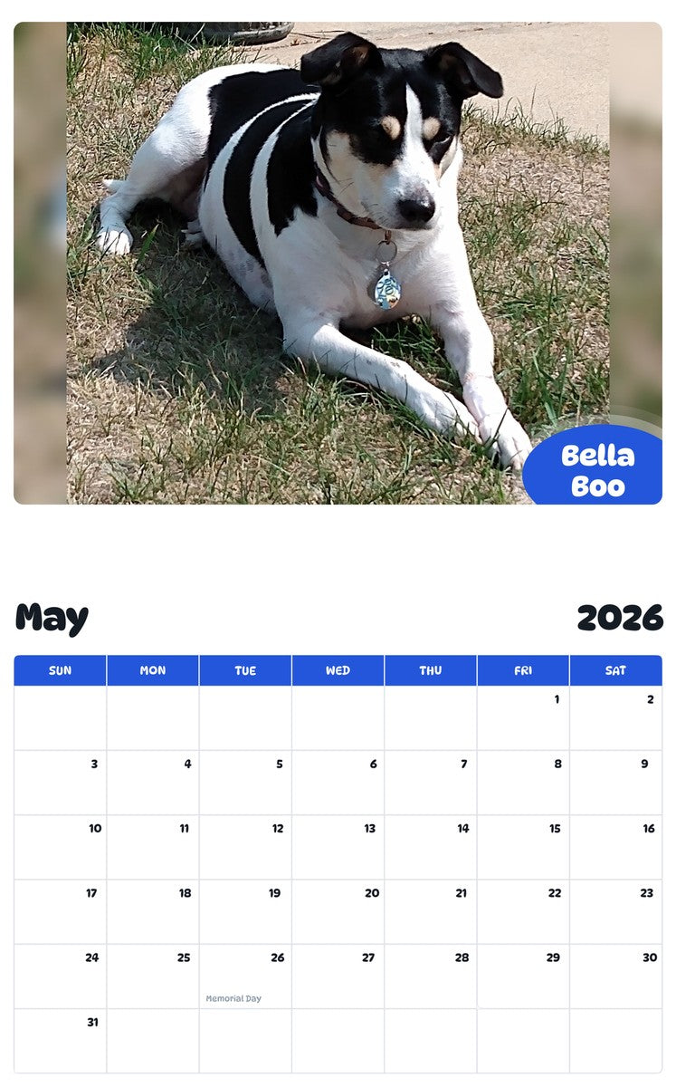 2026 - 2027 Bella Boo - Pawidols Pet Calendar