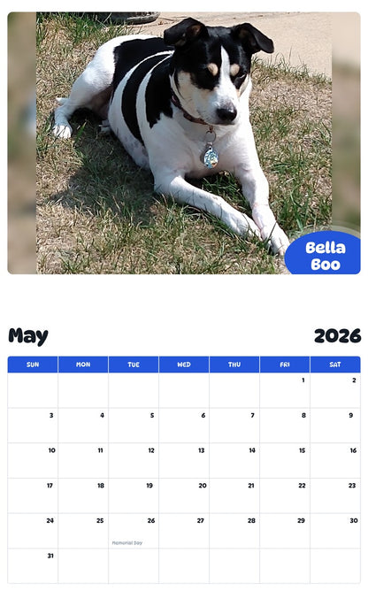 2026 - 2027 Bella Boo - Pawidols Pet Calendar