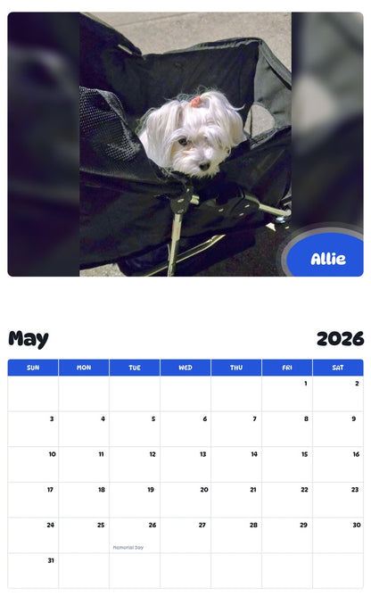 2026 - 2027 Allie - Pawidols Pet Calendar