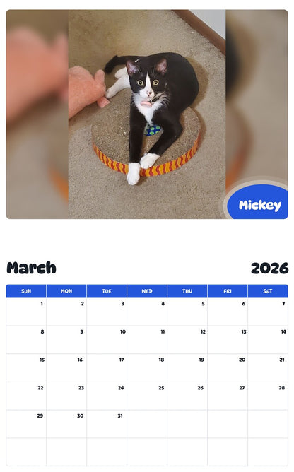 November 2025 - October 2026 Mickey - Pawidols Pet Calendar