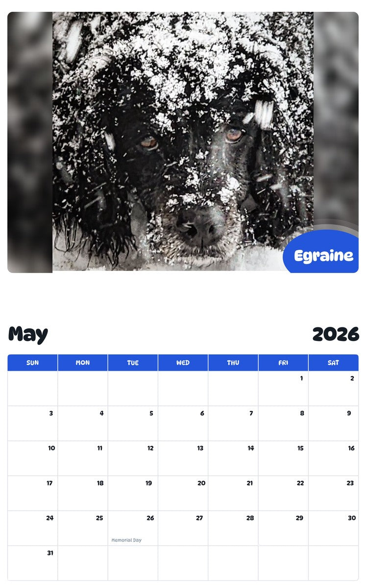 2026 - 2027 Egraine - Pawidols Pet Calendar