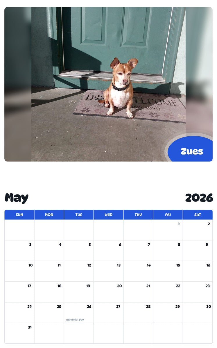 2026 - 2027 Zues - Pawidols Pet Calendar