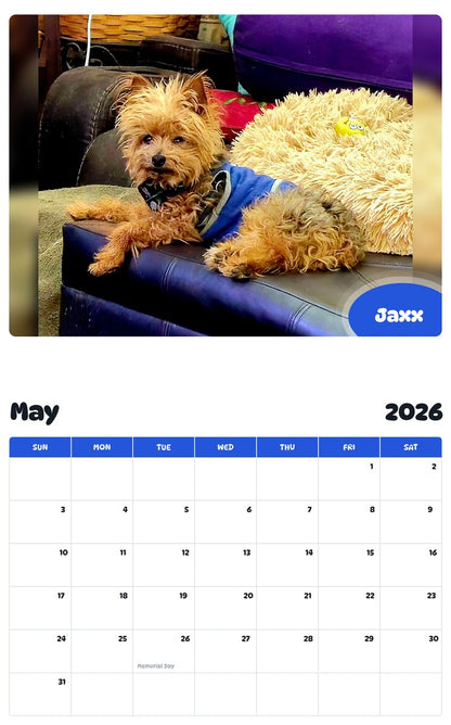 2026 - 2027 Jaxx - Pawidols Pet Calendar
