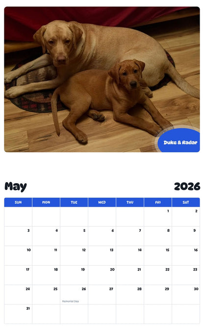 2026 - 2027 Duke & Radar - Pawidols Pet Calendar