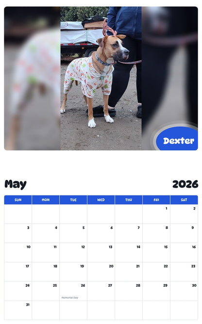 2026 - 2027 Dexter - Pawidols Pet Calendar